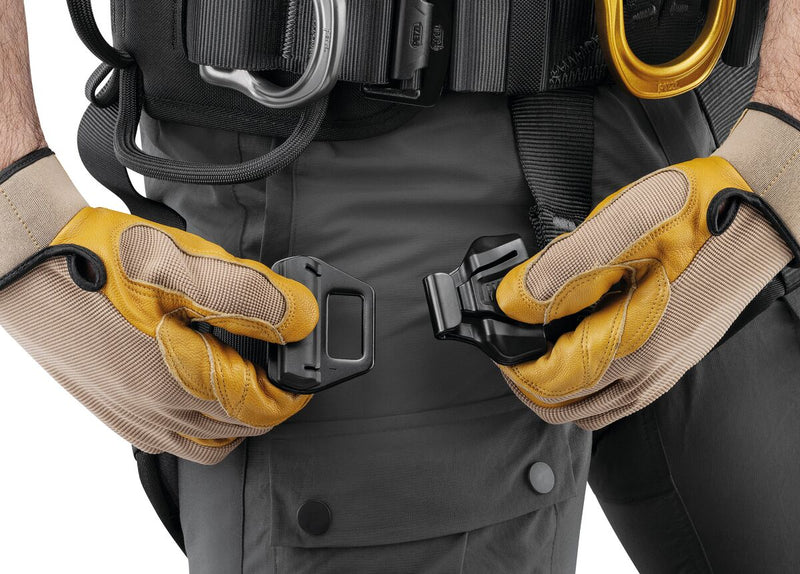 ASTRO international version