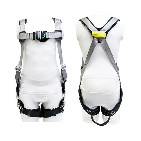 BUCKINGHAM H STYLE MINI BUCKFIT™ HARNESS - 68D98C700K3