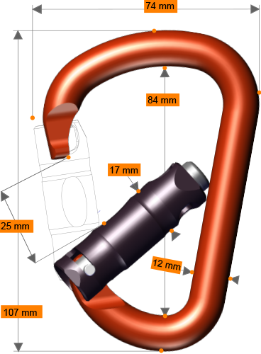 Rock Exotica Pirate Carabiners